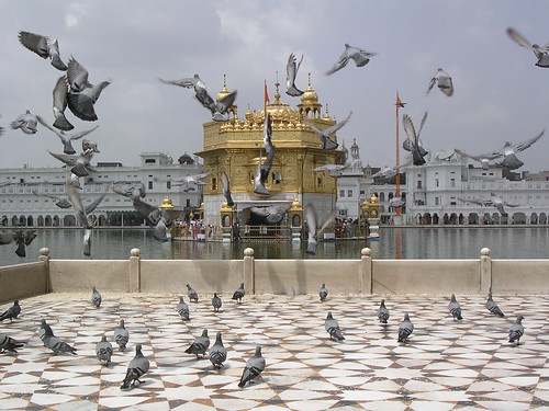 amritsar golden temple images. Indie 2005: Amritsar - Golden