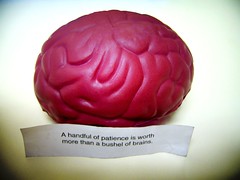 Seek Patience Before Brains