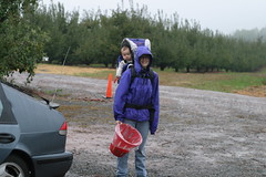 me and the boopster picking apples in a downpour