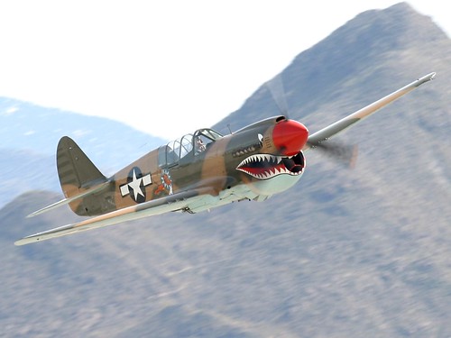 Warbird picture - P-40 Warhawk