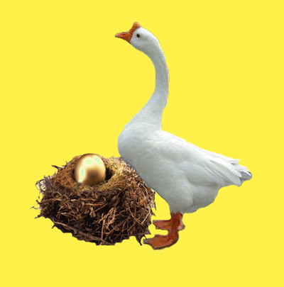 Goose that laid golden eggs