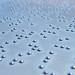 Braille Bokeh