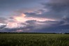 Wheat and Wild Weather - Weld County, Colorado