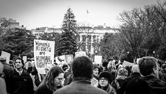 2017.01.21 Women's March Washington, DC USA 2 00148