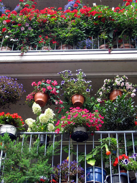 Middelburg: flower balcony