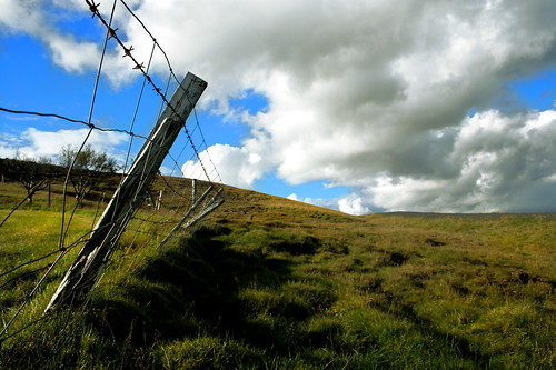the icelandic barbed wire fence