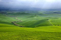 tuscan landscape color