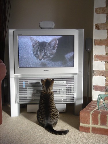 Fatty watching himself on TV par cloudzilla