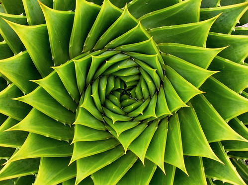 Green Spiral by meurer