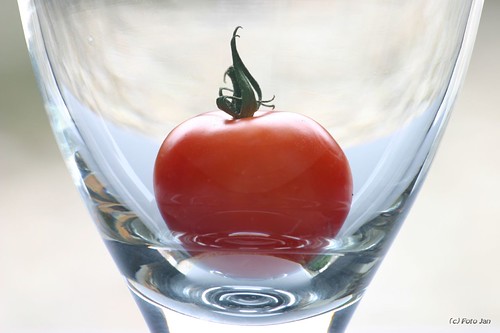 Tomaat/ Tomato in Glass