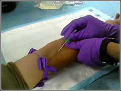 IV Needle