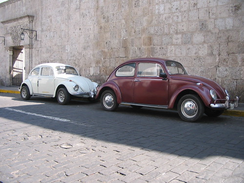 Bugs in Arequipa