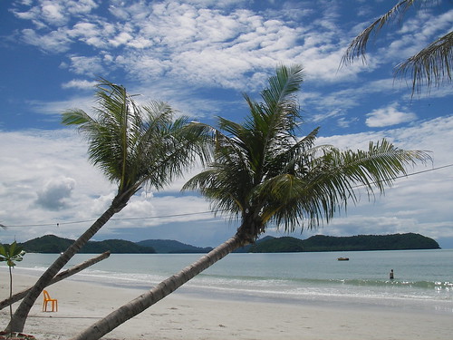 Langkawi beach, palms