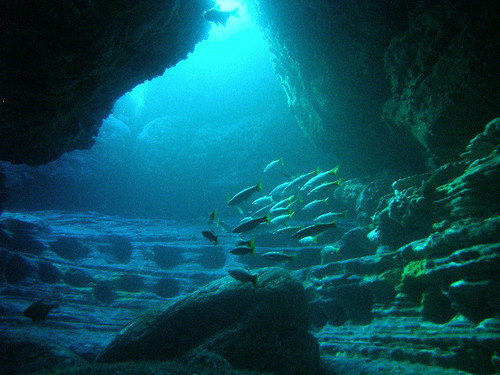 Sydney Underwater