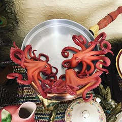 Octopus in pan