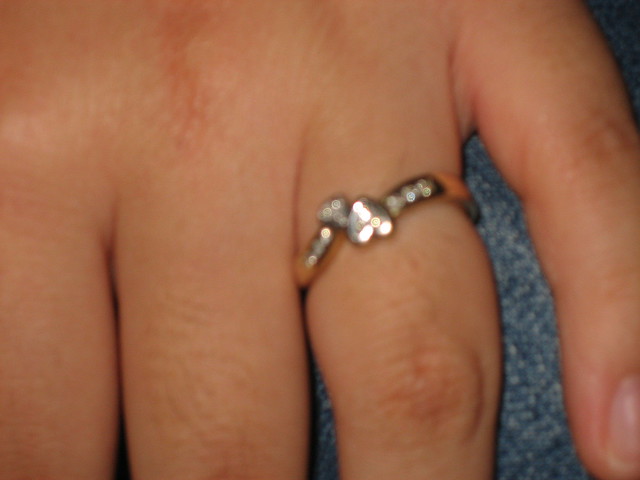 Casey's Engagement Ring by Raaawr~!