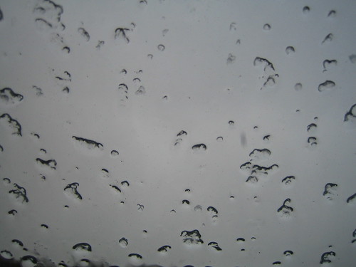 Rainy Window Pane