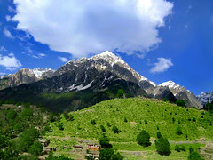 Beautiful Mountains Of Swat Valley (meansmuchtome) Tags: trees pakistan mountain snow mountains green ice beautiful pine clouds forest scenery asia glacier valley greenery swat specnature