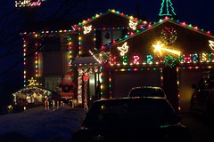 douglas drive - holiday lights