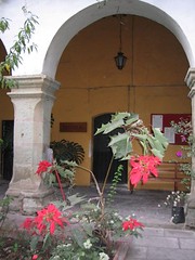 Church Courtyard and Nochebuena