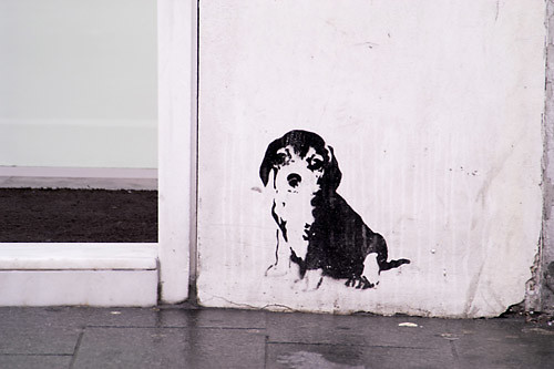 puppy graffitihttp://www.flickr.com/photos/44124436774@N01/82179210
