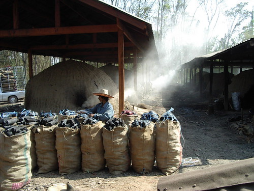 charcoal making