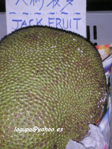 Jack Fruit