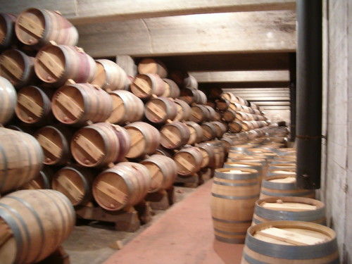 Vineyards in La Rioja