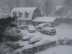 Blizzard of February 12, 2006 (Shelton, CT) - 2