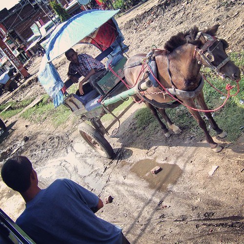   ... 2009   ...      ... #Travel #Memories #2009 #Chitwan #National #Park    #Nepal     ...      #Bus #Window #Normal #Ordinary #Life #Peoples #Horse #Carriage ©  Jude Lee
