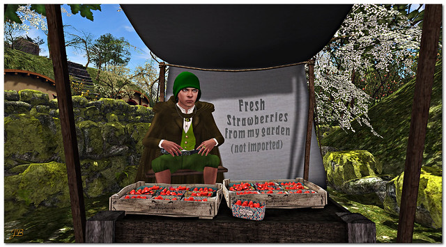 Hobbits Strawberrie Sale_2015-06-11_011