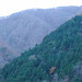 Trail from Mount Takanosu to Nippara Valley @ Okutama