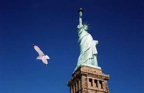 Statue of Liberty and seagull