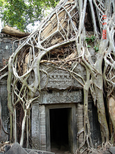 吳哥窟-塔普倫神廟(Angkor Taprohm Temple) by you.
