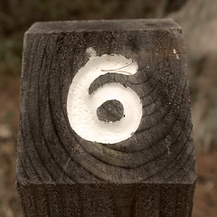 Nature's Number 6