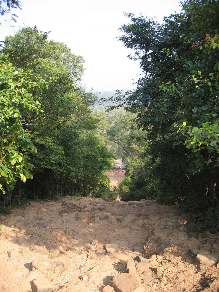 "A steep hiking trail when hiking in Cambodia in summer"