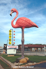 Flamingo Motel, Wisconsin Dells, WI