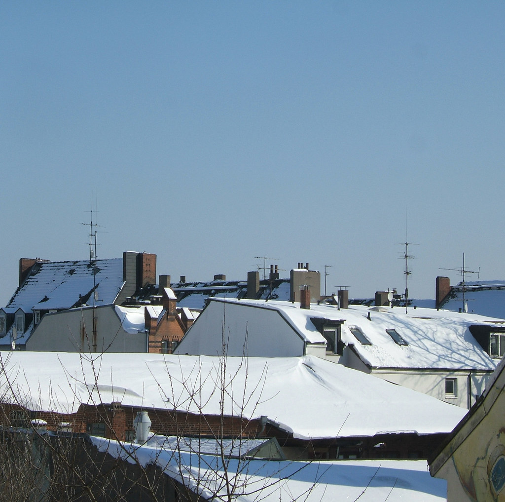 snowy roofs