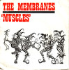 membranes | muscles