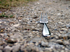 Another fork in the road