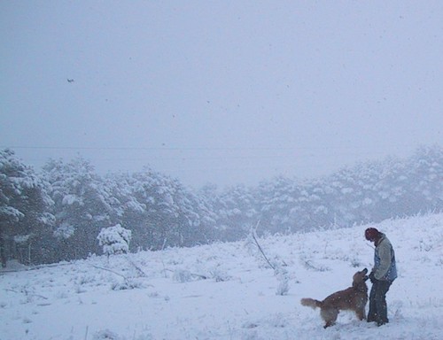 Nieve en Getafe 23-02-2005