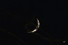 Mystic Waxing Moon over Ceredigion/Wales