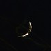 Mystic Waxing Moon over Ceredigion/Wales