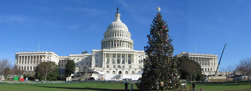 The 2004 Capitol Christmas Tree