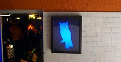 blueowlfrontfx by nycnosh, on Flickr