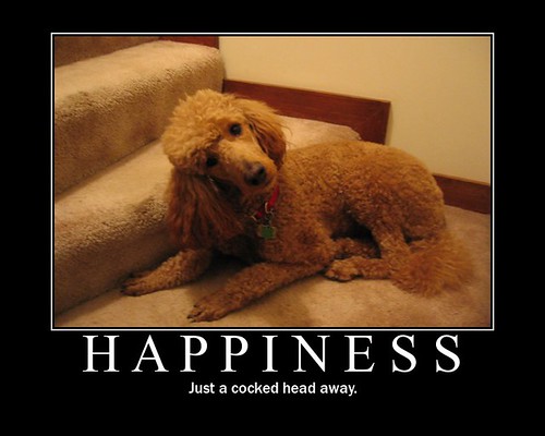 demotivational posters funny. Happiness Motivational Poster