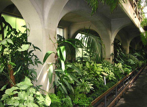 tropical gardens ideas