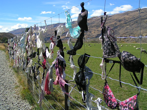 Bras hung on a fence in Cardrona