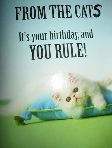  My birthday card from the cats 