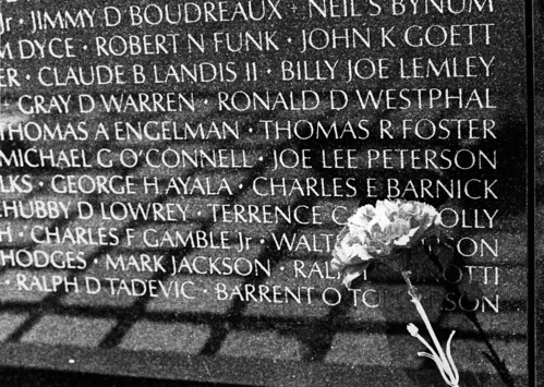 Vietnam War Memorial: Names